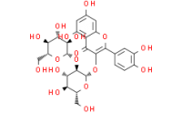 Quercetin 3-O-sophoroside