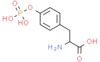 L-Tyrosine,O-phosphono-