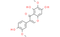 Iristectorigenin A