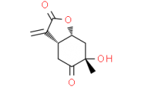 Paeonilactone B