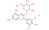 Malvidin-3-Galactoside chloride