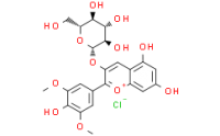 Malvidin 3-O-glucoside chloride