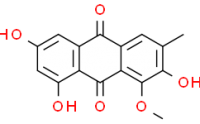 2-hydroxyl emodin-1-methyl ether