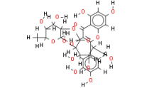 Quercetin-3-O-D-glucosyl]-(1-2)-L-rhamnoside