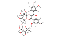 Myricetin 3-O-rutinoside