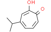 ?-thujaplicin