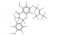 7-Prenyloxyaromadendrin