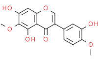 Iristectorigenin B