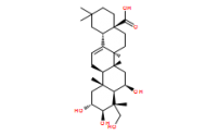 2?,6?,23-trihydroxyl oleanolic acid