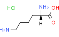 Lysine Hydrochloride