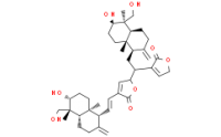 Bisandrographolide C