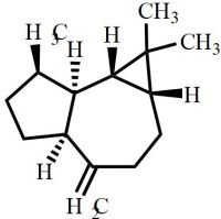 (-)-Alloaromadendrene 