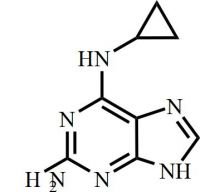 Cyclopropyl Diaminopurine Abacavir