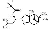 Bortezomib Impurity 60