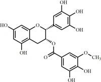 Epigallocatechin 3-O-(3-O-Methyl)-Gallate