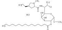 Clindamycin Pentadecanoate HCl