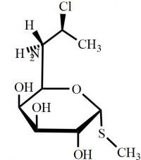 Clindamycin Impurity 16