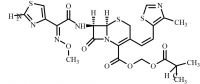 Cefditoren Pivoxil