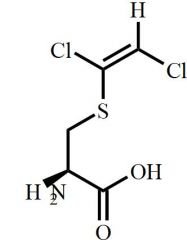 S-(1,2-Dichlorovinyl)-Cysteine