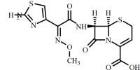 Ceftizoxime