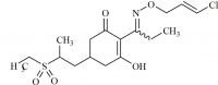 Clethodim Sulfone