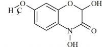 DIMBOA (2,4-dihydroxy-7-methoxy-1,4-benzoxazin-3-one)