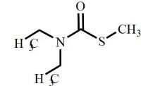 Disulfiram Impurity 3