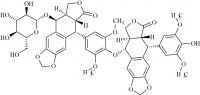 Etoposide Impurity 2