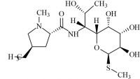 Lincomycin B