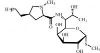 Lincomycin EP Impurity A