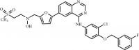 Lapatinib Hydroxylamine