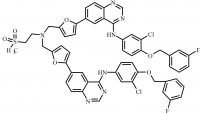 Lapatinib Impurity 11