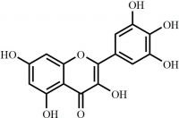 Myricetin