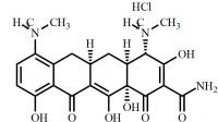 Minocycline HCl