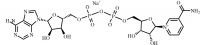 Beta-Nicotinamide Adenine Dinucleotide Sodium Salt