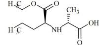 Perindopril Related Compound 11