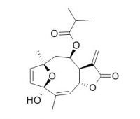 RCLCFN97011