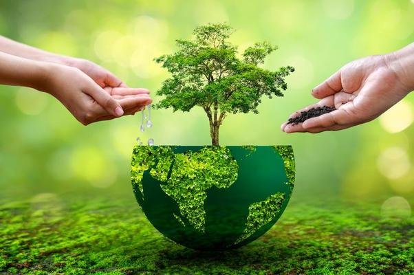 Sustainability and Environmental Policy